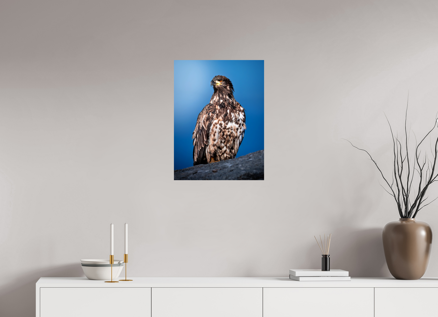 18 x 24″, Photo Print On Fuji Crystal DP II Bald Eagle