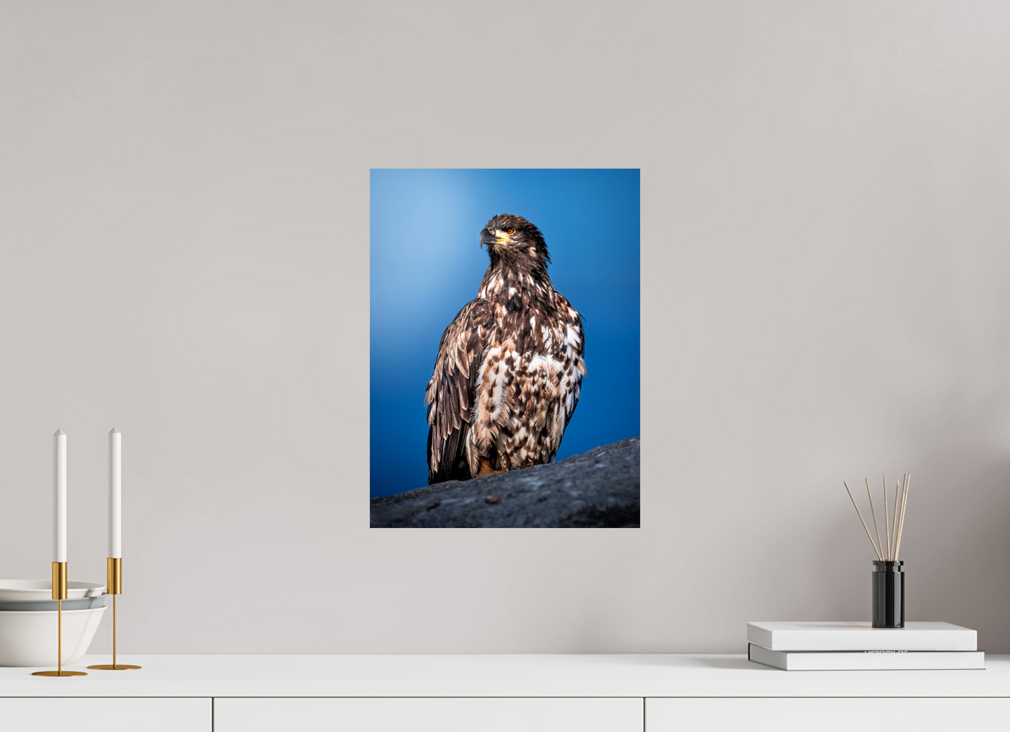 12 x 16″, Photo Print On Fuji Crystal DP II Bald Eagle