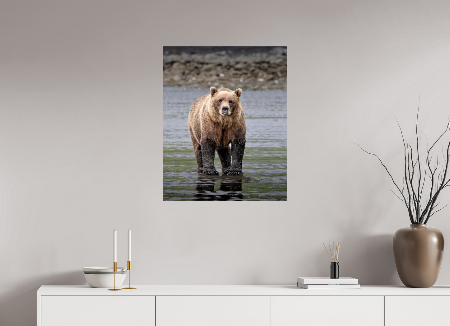 24 x 30″, Photo Print On Fuji Crystal DP II Sow on the Alaska Shore