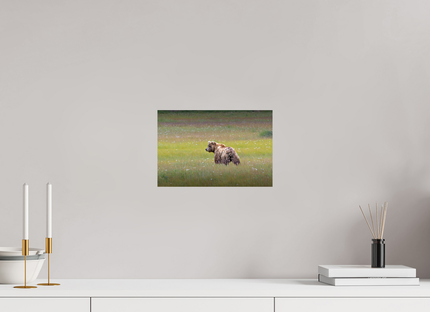 12 x 8″, Photo Print On Fuji Crystal DP II Melancholy Bear strolling through a field