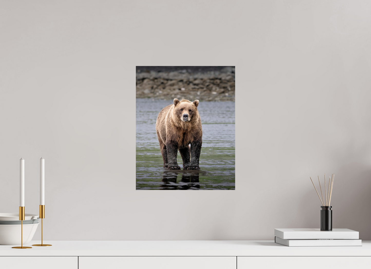 12 x 15″, Photo Print On Fuji Crystal DP II Sow on the Alaska Shore