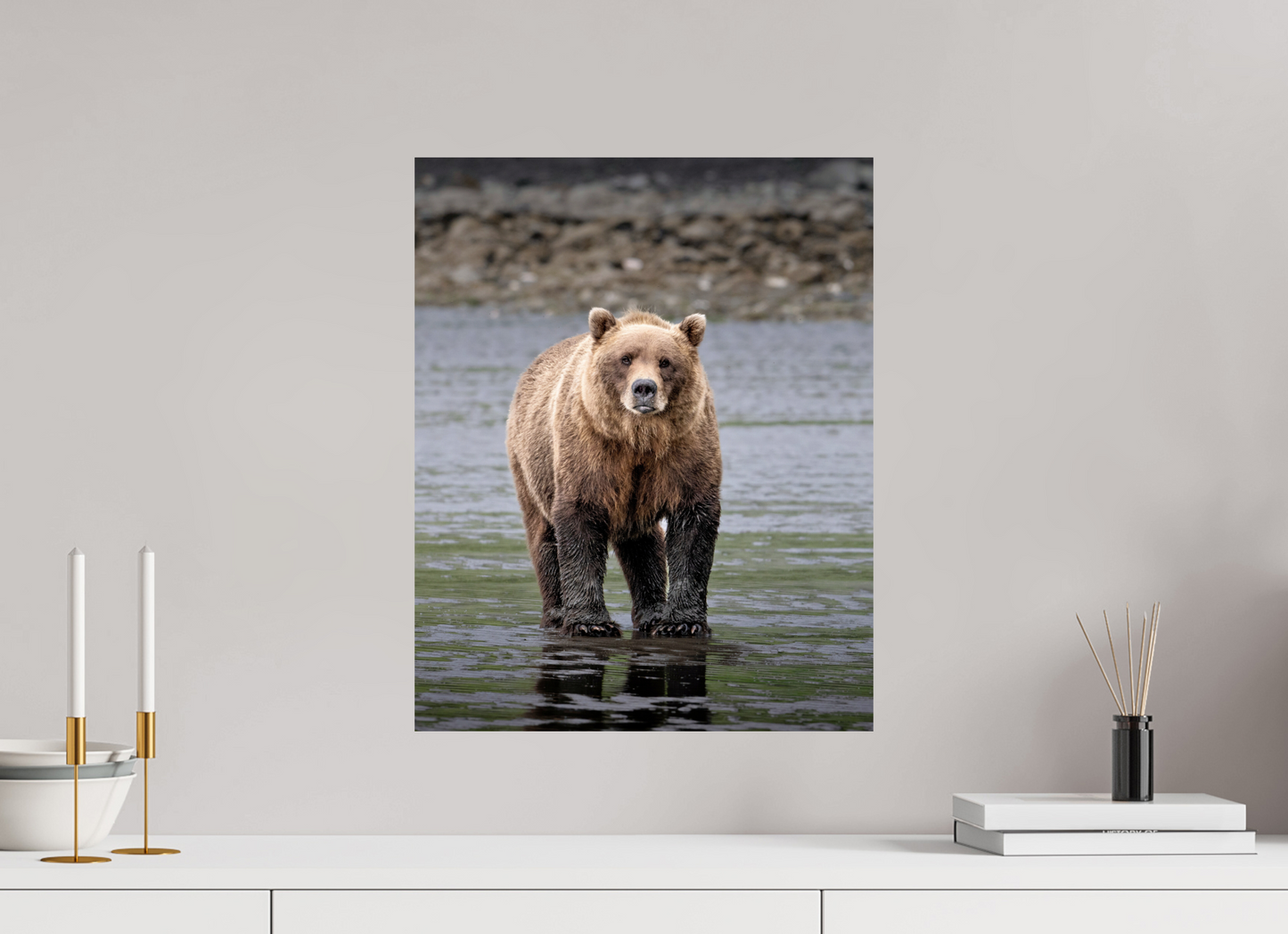 16 x 20″, Photo Print On Fuji Crystal DP II Kodiak posing for the camera