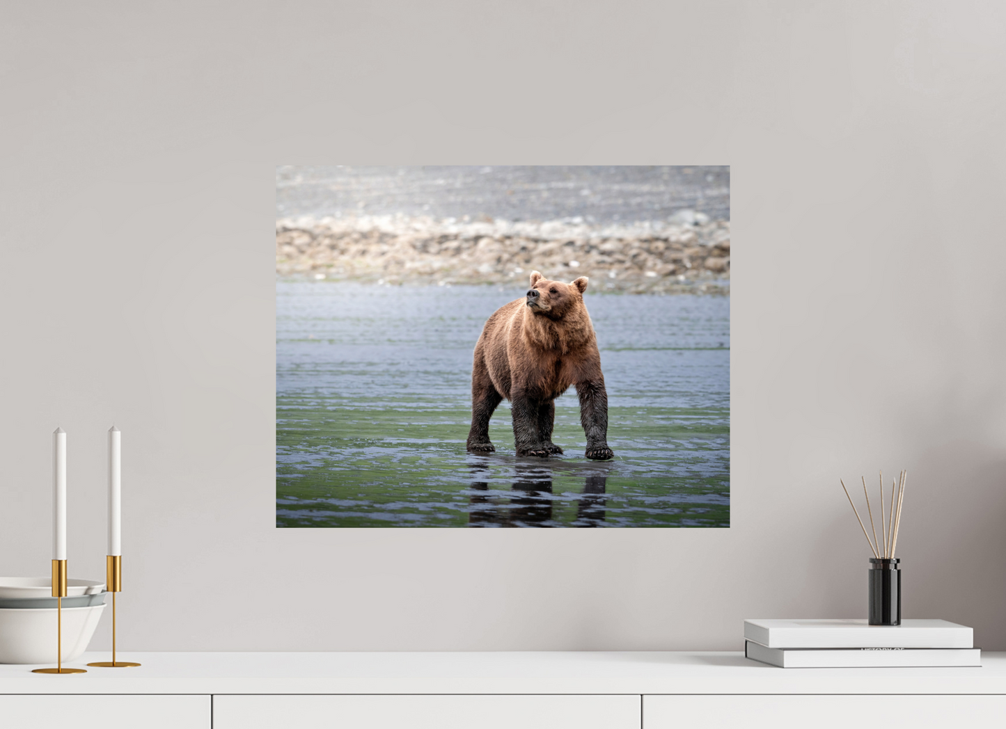 20 x 16″, Chroma Kodiak Bear on the beach