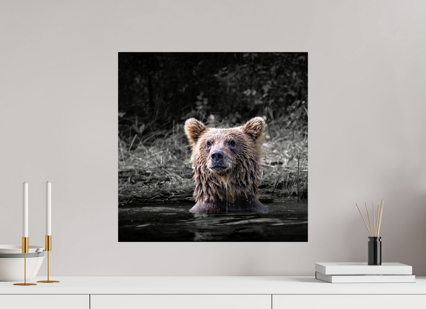 20 x 20″, Photo Print On Fuji Crystal DP II Bear Cub