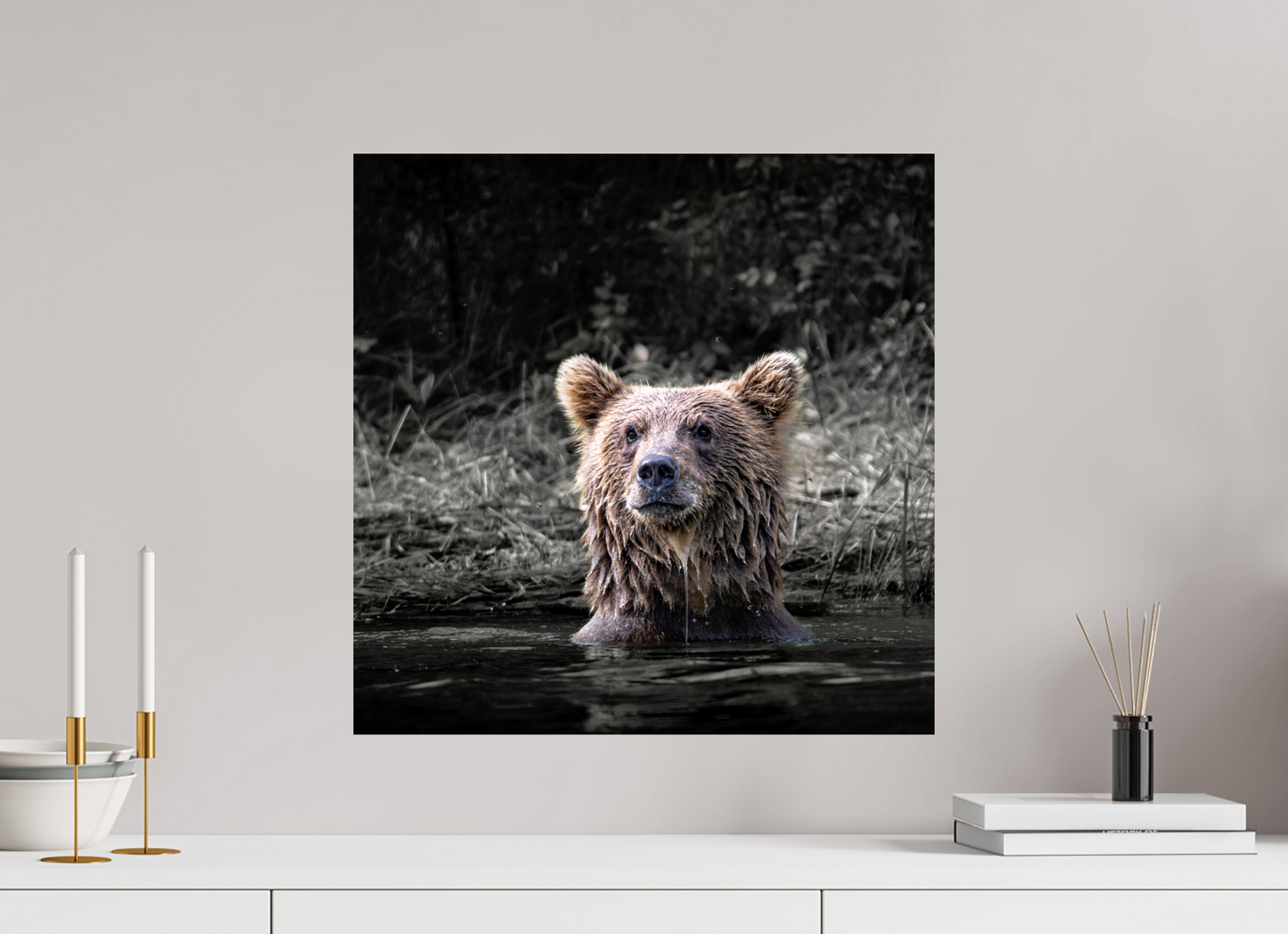 20 x 20″, Chroma Alert in the Wild: Brown Bear Cub in Water’s Edge