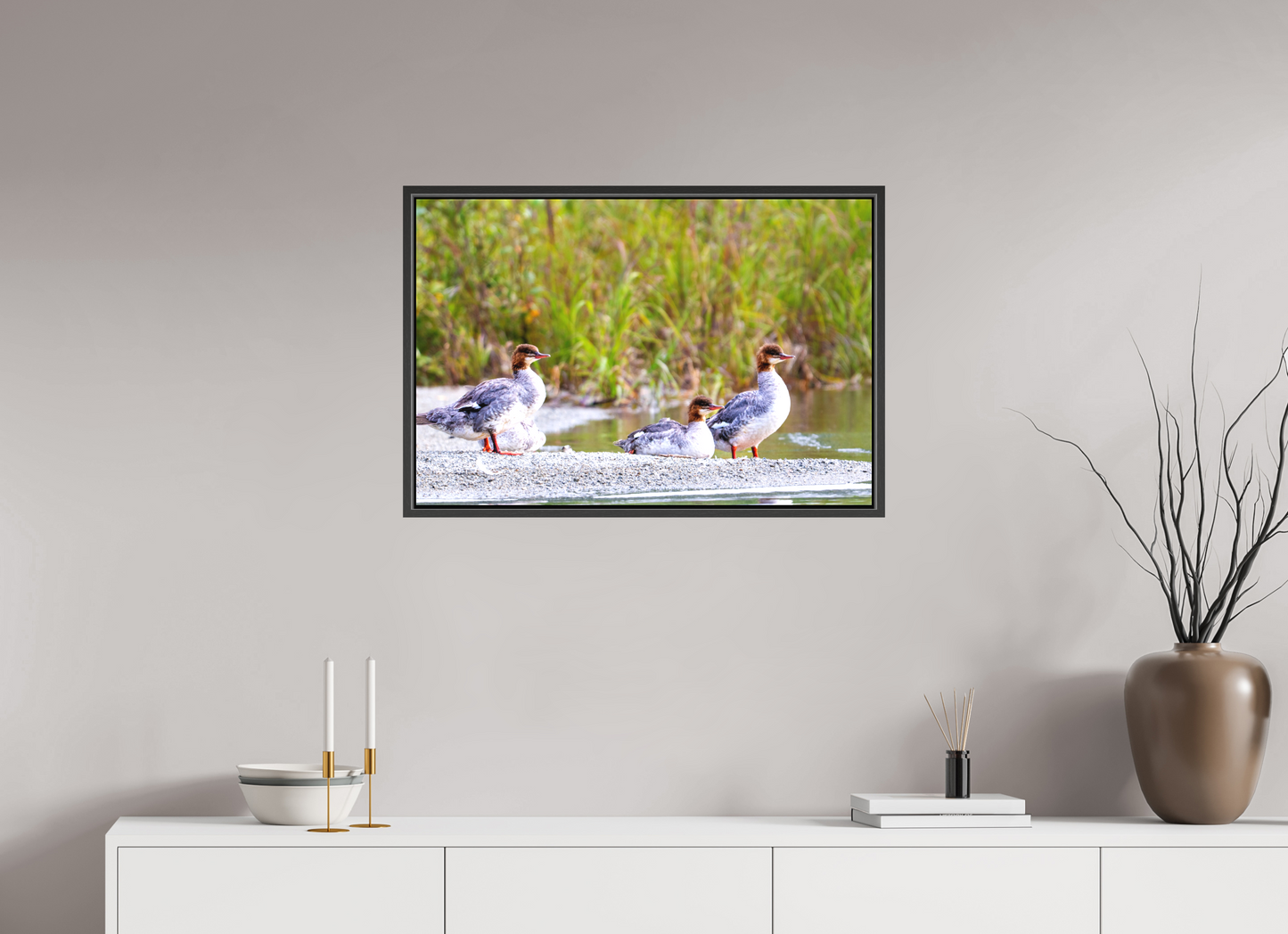 30 x 20″, Framed Red-Breasted Merganser