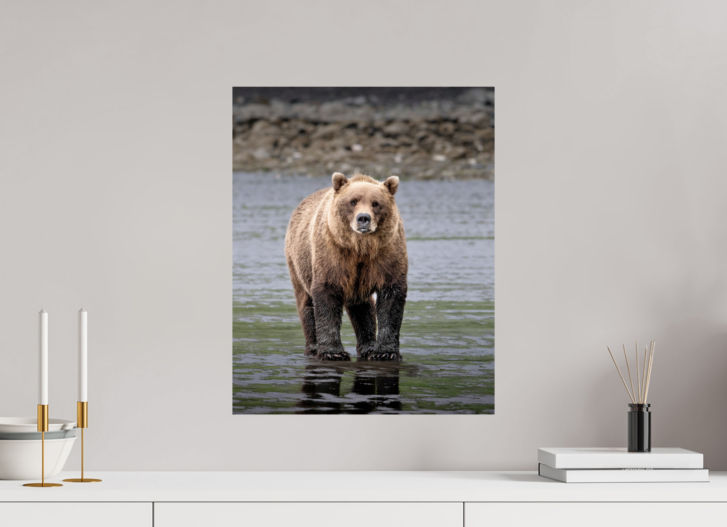 16 x 20″, Chroma Kodiak posing for the camera