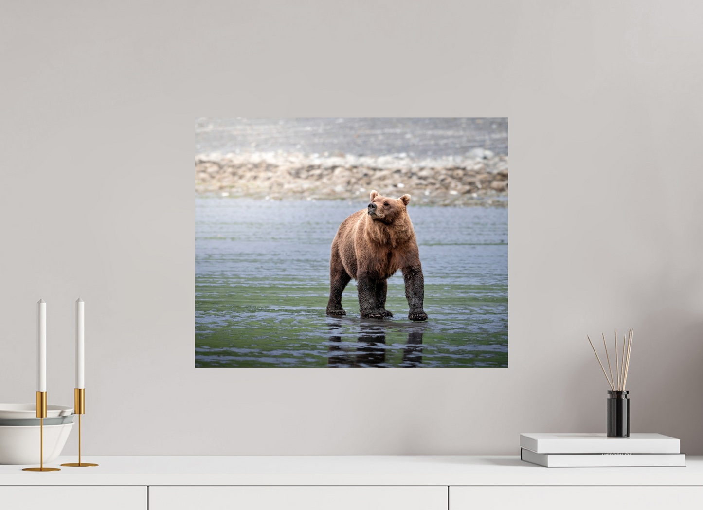 20 x 16″, Photo Print On Fuji Crystal DP II Kodiak Bear on the beach