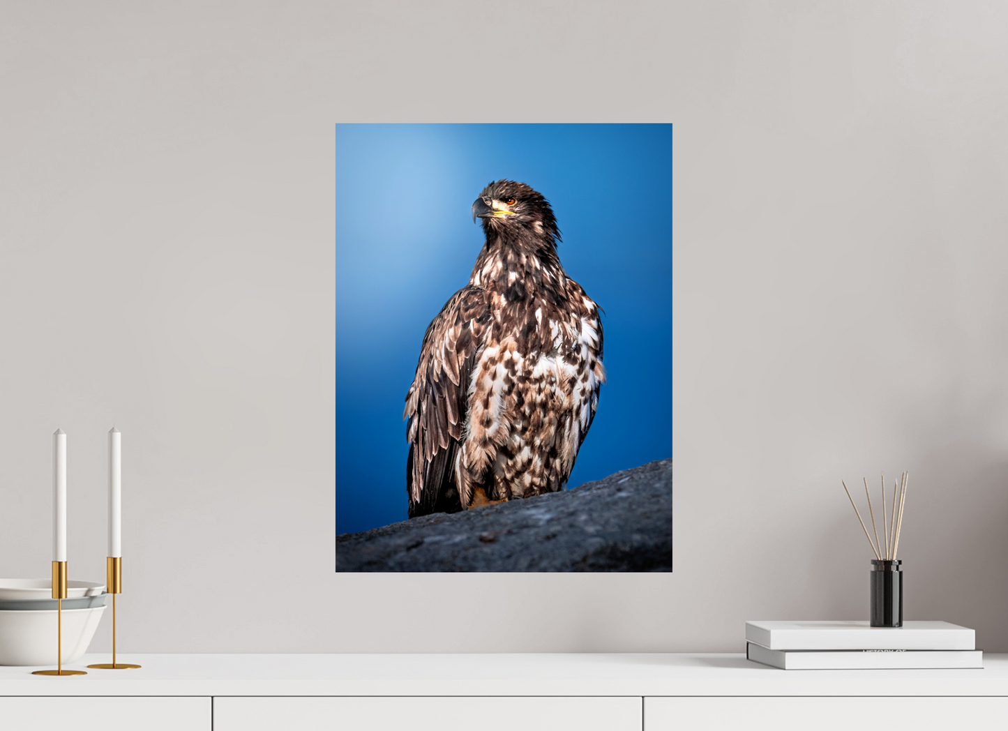 15 x 20″, Photo Print On Fuji Crystal DP II Bald Eagle