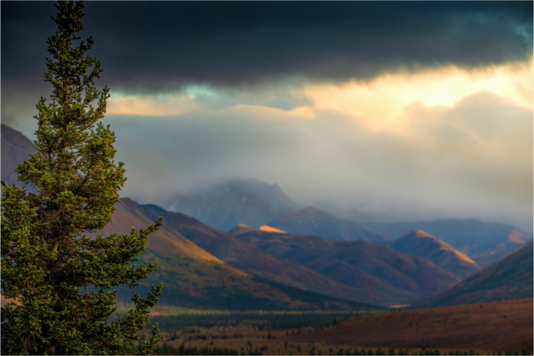 Main image Moody Fall in Denali