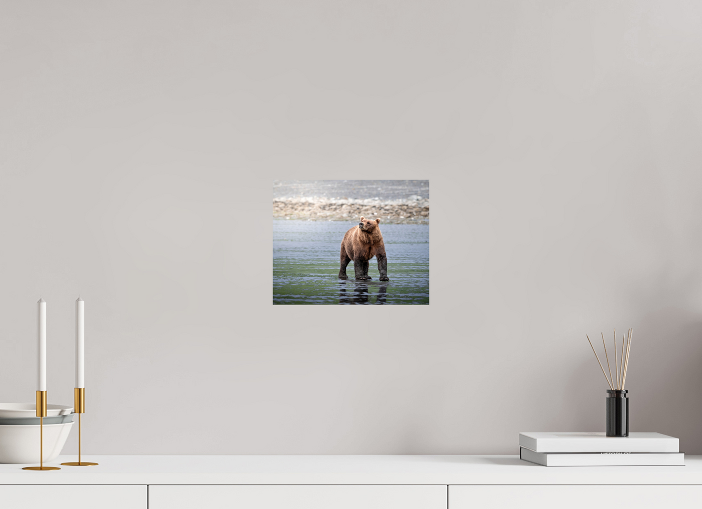 10 x 8″, Photo Print On Fuji Crystal DP II Kodiak Bear on the beach
