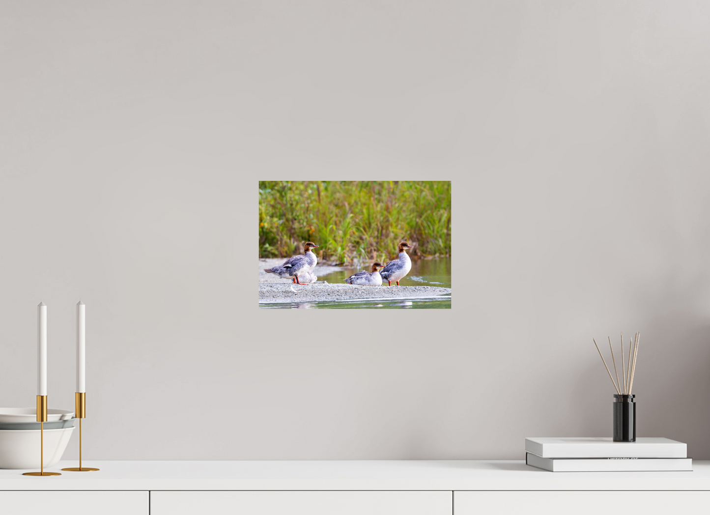 12 x 8″, Chroma Red-Breasted Merganser