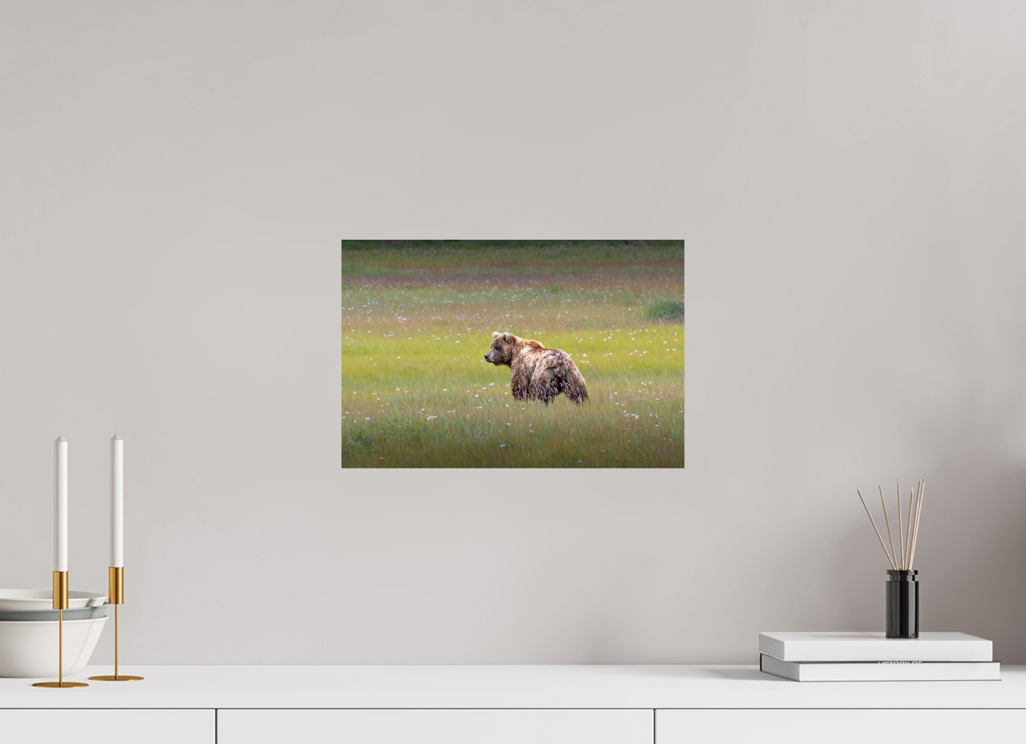 15 x 10″, Photo Print On Fuji Crystal DP II Kodiak scanning the field