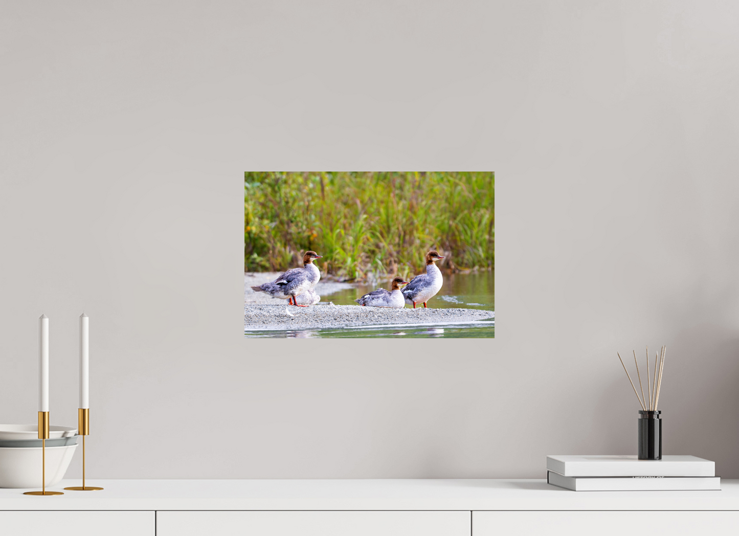 15 x 10″, Chroma Red-Breasted Merganser