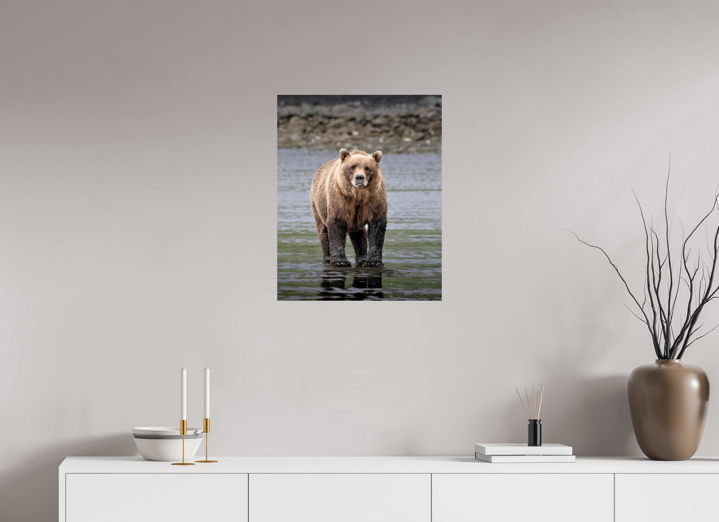 20 x 25″, Photo Print On Fuji Crystal DP II Sow on the Alaska Shore