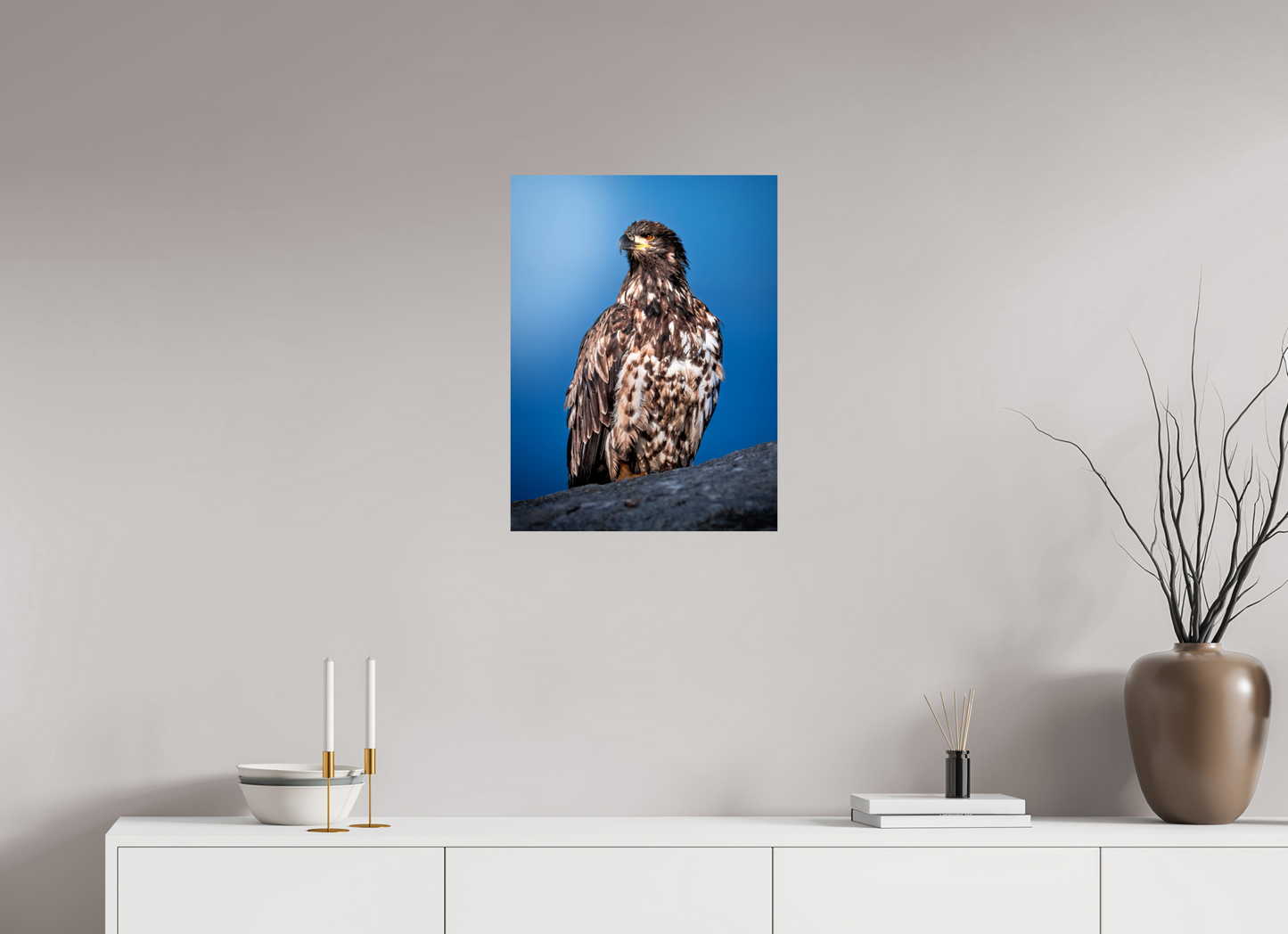 18 x 24″, Chroma Bald Eagle