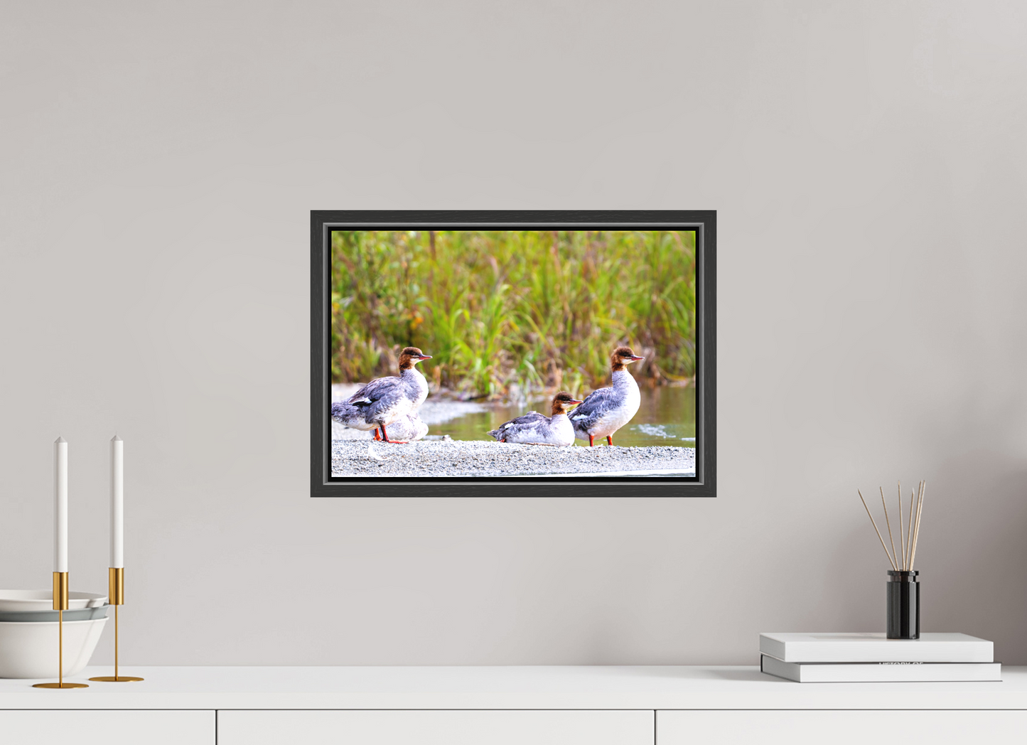 15 x 10″, Framed Red-Breasted Merganser