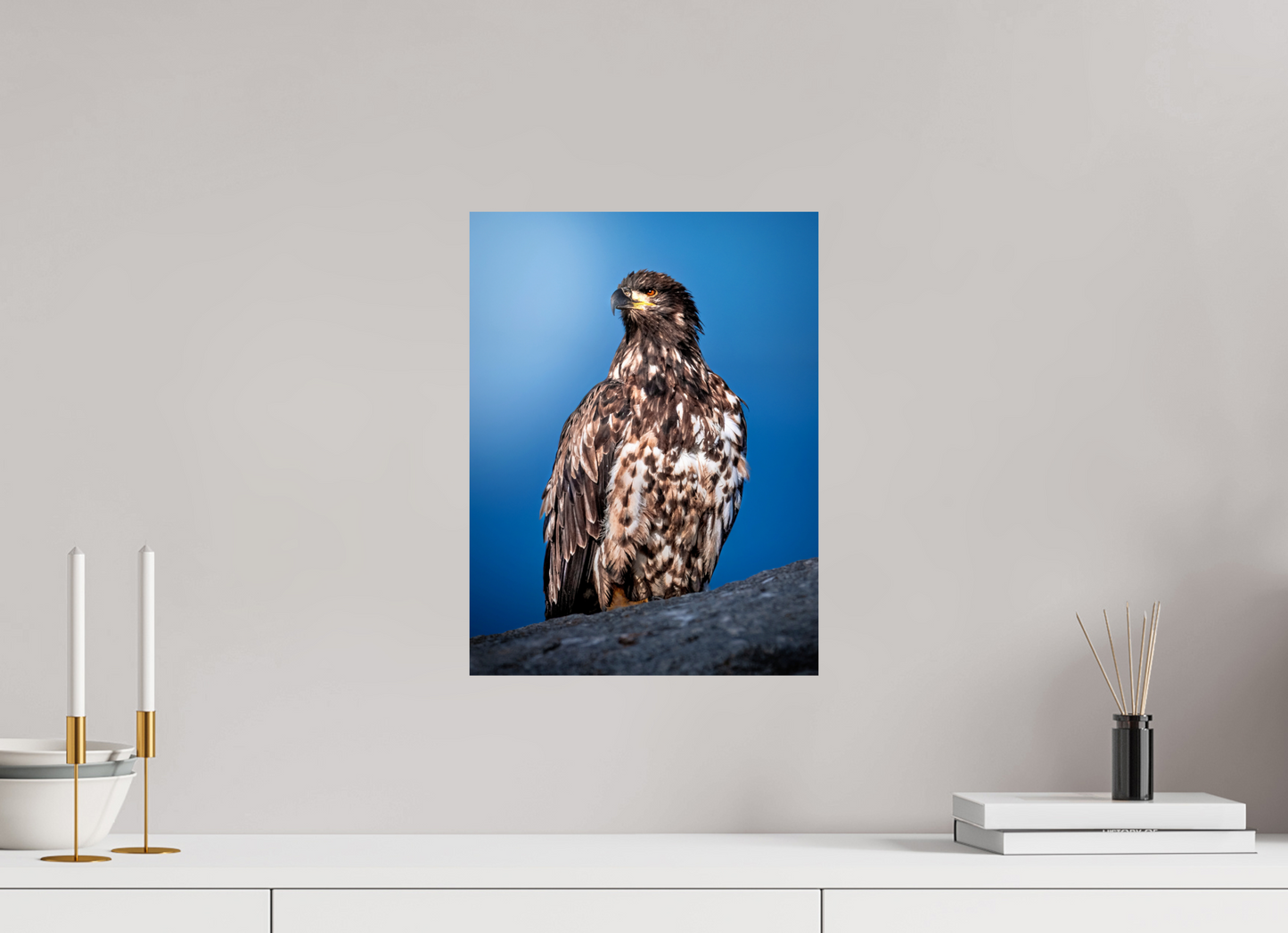 12 x 16″, Chroma Bald Eagle