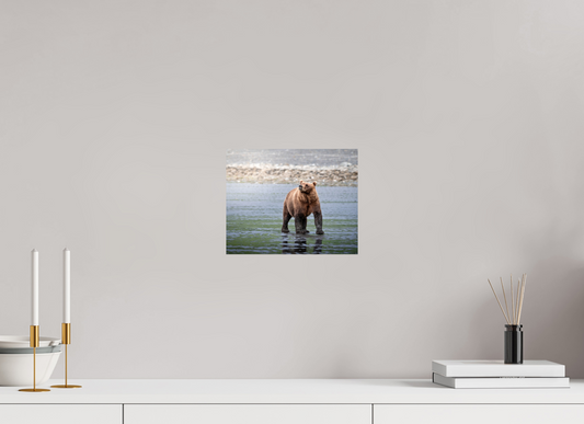 10 x 8″, Chroma Kodiak Bear on the beach