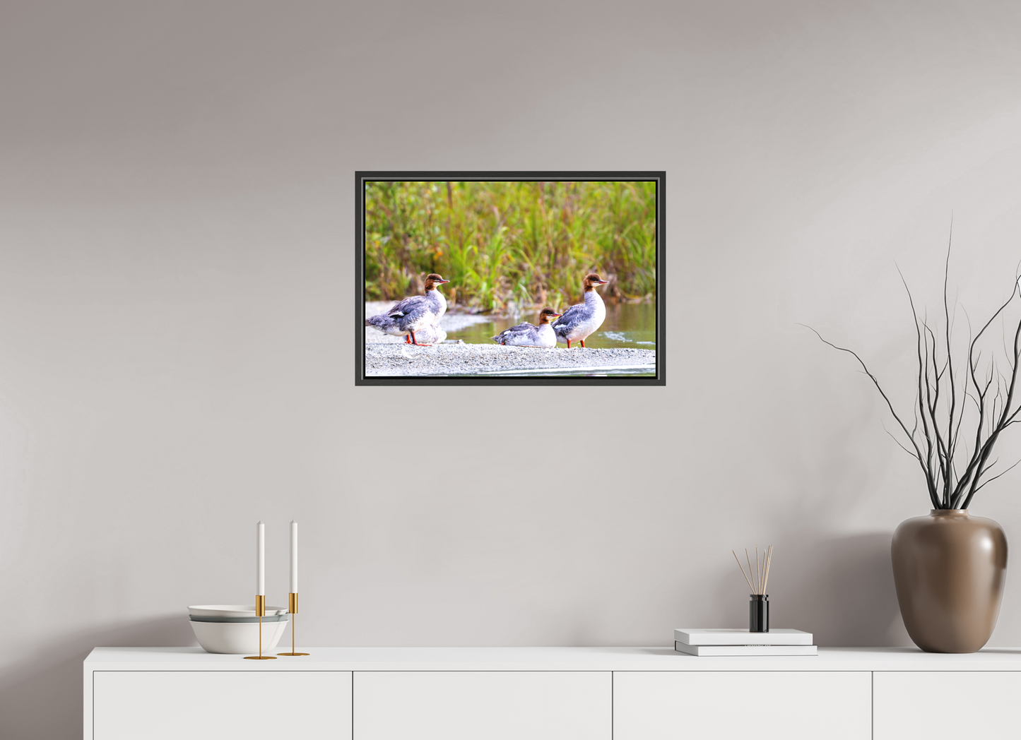 24 x 16″, Framed Red-Breasted Merganser