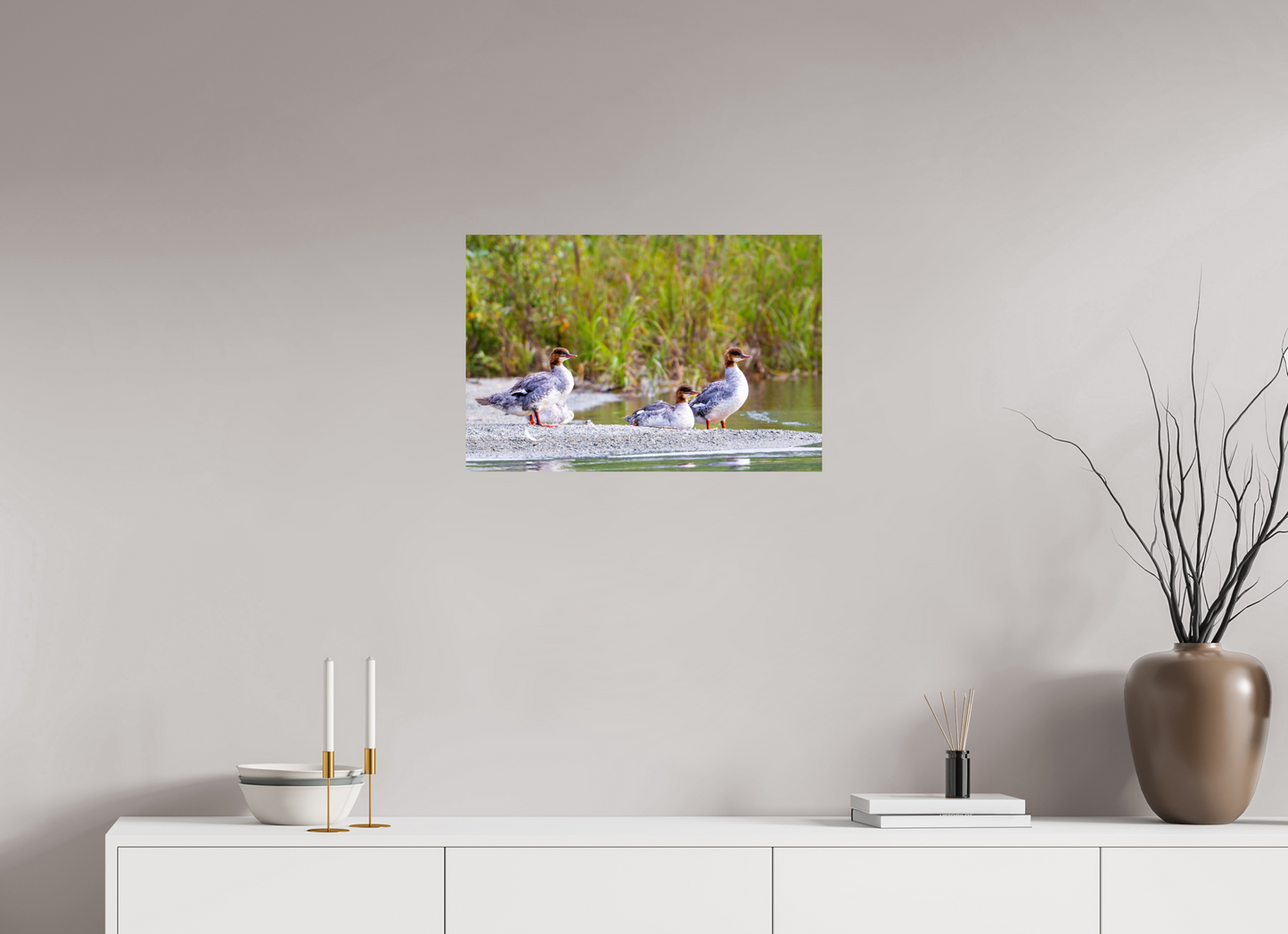 24 x 16″, Chroma Red-Breasted Merganser